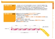 くるくるロールのご提案